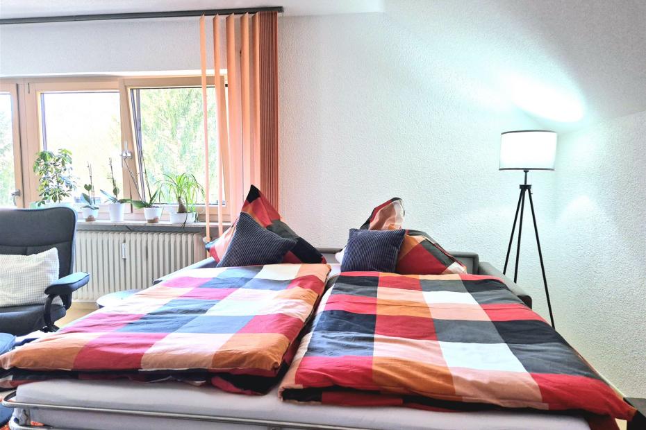 Wohnzimmer mit Schlafcoutch
